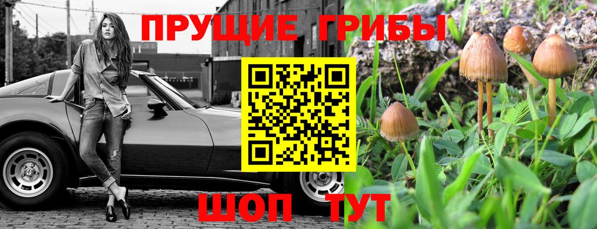Галлюциногенные грибы мицелий Рыбинск