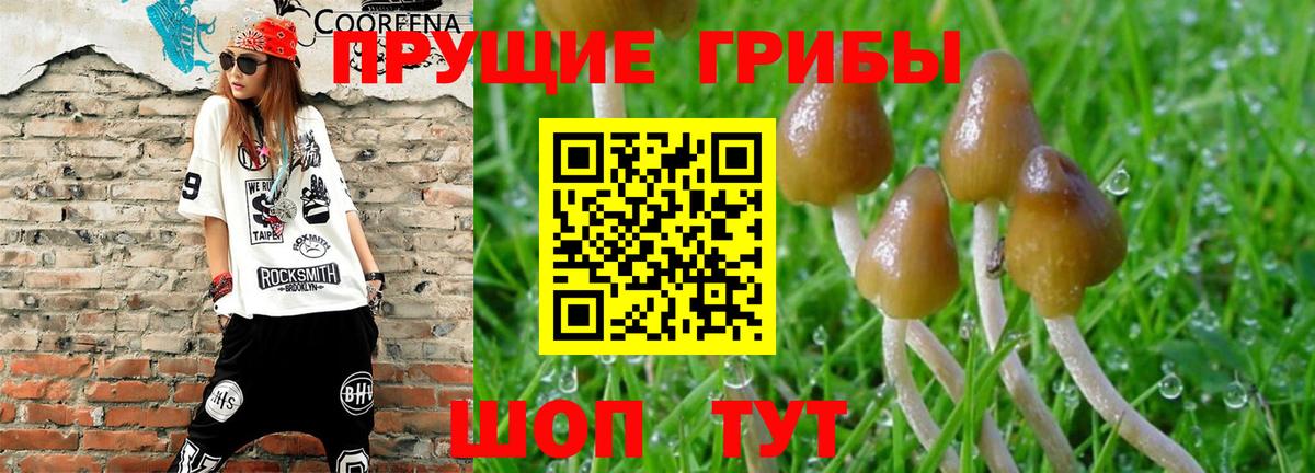 Рыбинск  Галлюциногенные грибы GOLDEN TEACHER  даркнет сайт  Вход с VPN 
